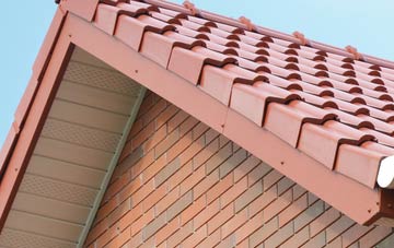 Ardroag fascia repair quotes