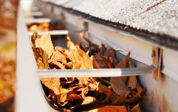 Ardroag gutter cleaning companies