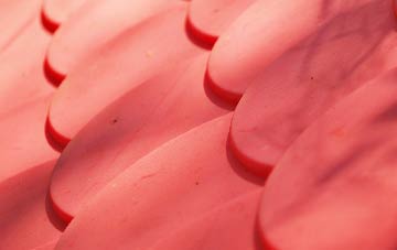 Ardroag plastic roof costs