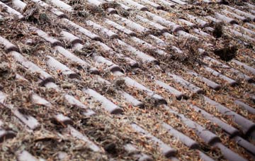 Ardroag roof cleaning companies